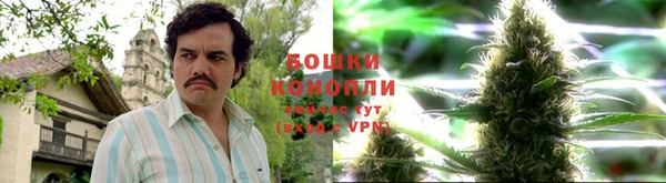 крисы Белоозёрский