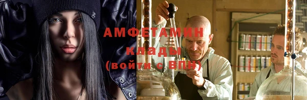 прущие грибы Белокуриха