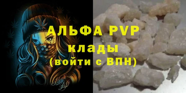 прущие грибы Белокуриха