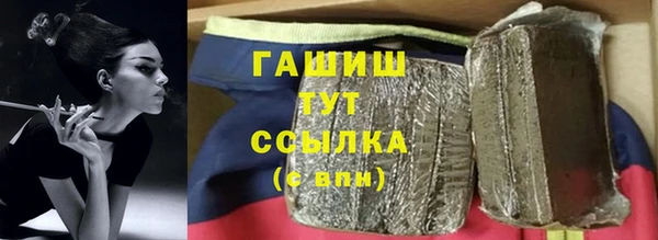 прущие грибы Белокуриха