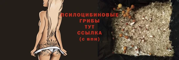 крисы Белоозёрский