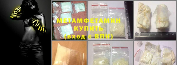 прущие грибы Белокуриха