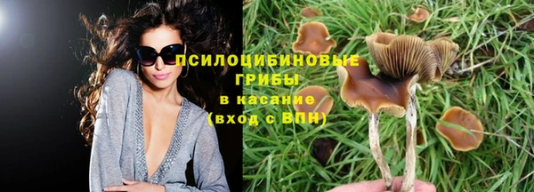 гашик Беломорск