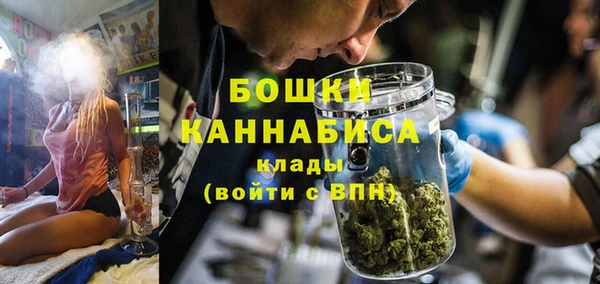 прущие грибы Белокуриха