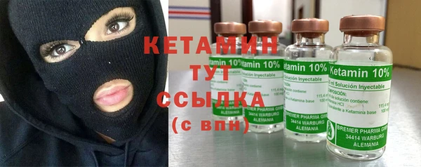 прущие грибы Белокуриха