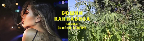гашик Беломорск