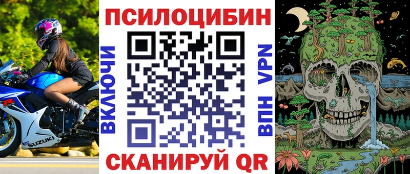 Псилоцибиновые грибы Magic Shrooms  закладки  Нарьян-Мар 